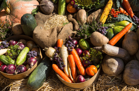 Harvest Days